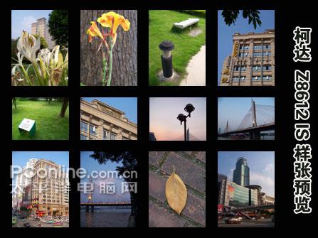 �������ͱ�Я�������´�Z8612IS����