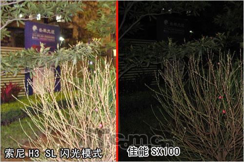 决战便携长焦佳能SX100IS激斗索尼H3(6)