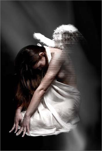 Photoshop̳̣ʹ(3)
