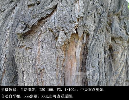 洞察黑暗的徕卡超广角松下LX3相机评测(12)