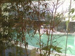 ���մ�TouchViva����(6)