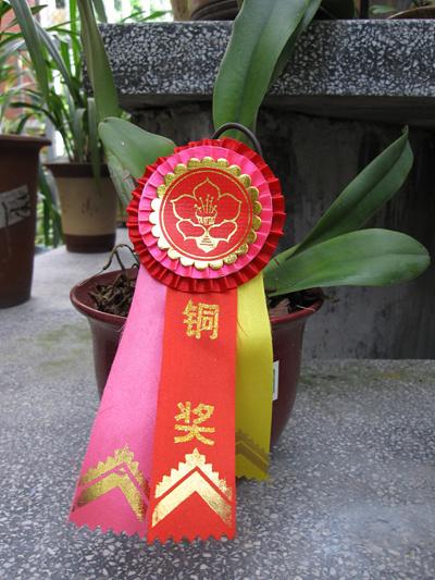 当时尚赋予个性佳能IXUS870IS评测(14)