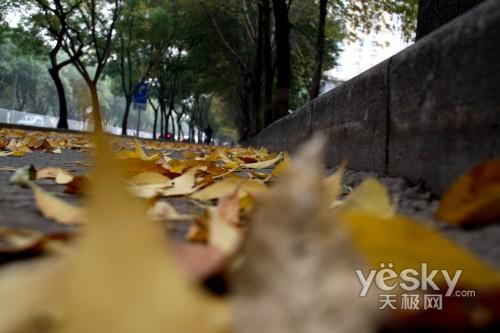 一镜走天下佳能强悍指标EOS50D评测(6)
