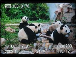 专业与艺术结合索尼全幅单反α900评测(8)
