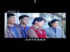 С����͵��TCL��ƷX9ϵ��Һ��TV����