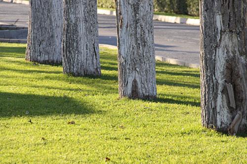 中端单反擎天柱佳能EOS50D详尽评测(15)