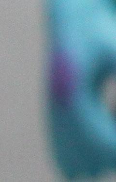 中端单反擎天柱佳能EOS50D详尽评测(19)