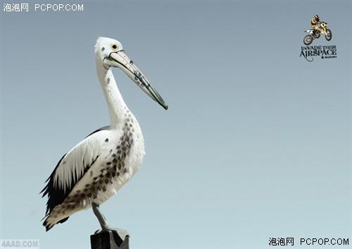奇思妙想超酷创意!经典平面广告欣赏