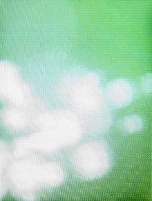 ƽ���е���ɫ��������YP-Q1����������