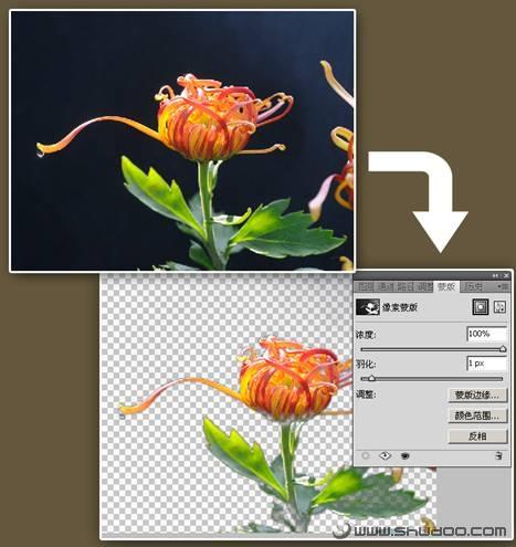 ӦPhotoshopCS4ɰٿͼ