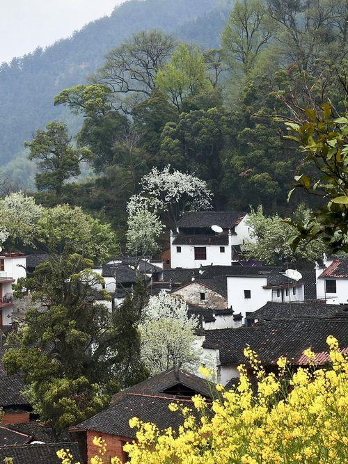 ������԰ʫ����Դ����5D��Ӱ��Ʒ��(5)