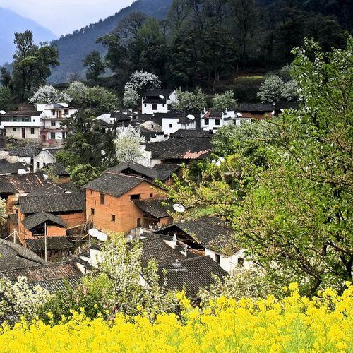 ������԰ʫ����Դ����5D��Ӱ��Ʒ��(5)