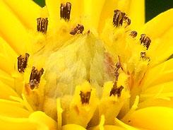 高速连拍便携长焦优秀理光CX1详尽评测(5)