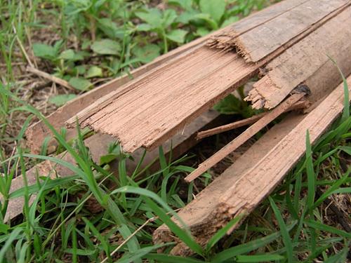 高速连拍便携长焦优秀理光CX1详尽评测(11)