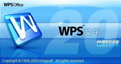 WPS2009˰¹ʵս