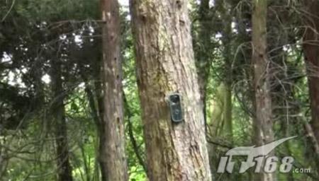 用枪射击诺基亚三防手机3720c测试