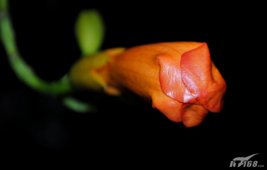 让拍摄变得简单 尼康入门单反D3000初评_数码