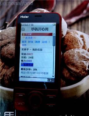 一键就偷菜海尔滑盖游乐手机U76评测(3)
