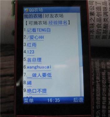 一键就偷菜海尔滑盖游乐手机U76评测(3)