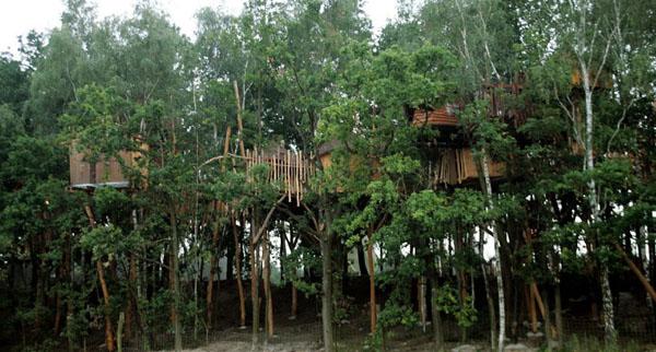 ����������������ù����ο�����ͯȤ(ͼ)