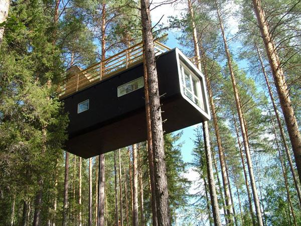 ����������������ù����ο�����ͯȤ(ͼ)(2)