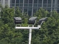 ���ŵ���PK�῵D3100/����550D�Ա�����(9)