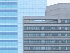 ���ŵ���PK�῵D3100/����550D�Ա�����(9)