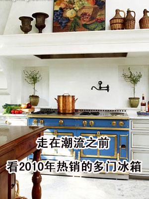 走在潮流之前看2010年热销多门冰箱