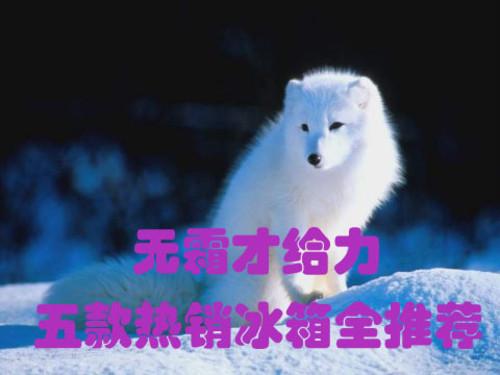 ������˪�Ÿ��������������ȫ�Ƽ�