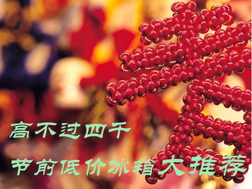 高不过4000元 节前五款低价冰箱大推荐