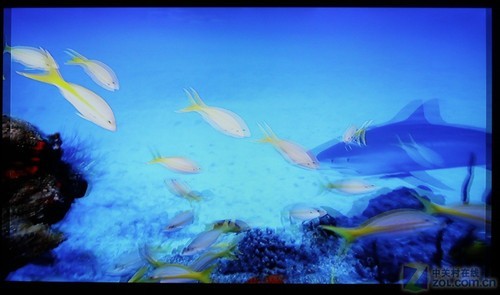 抛开机顶盒看数字节目详测康佳3d电视