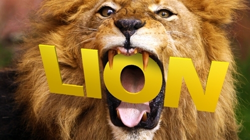 苹果操作系统Mac OS X Lion生存指南