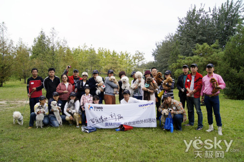 留住情动一刻PEN 奥林巴斯北京宠物外拍报道