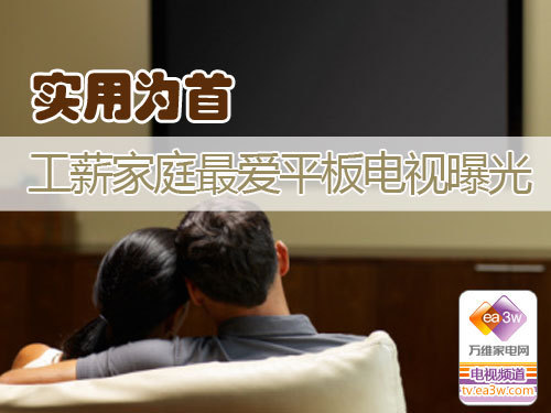 实用为首 工薪家庭最爱平板电视曝光
