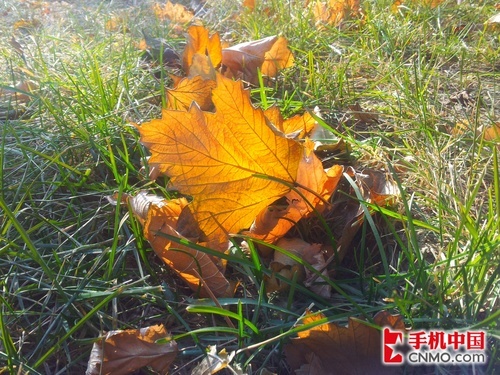 价格仅差10元摩托罗拉RAZR对比I9100(4)