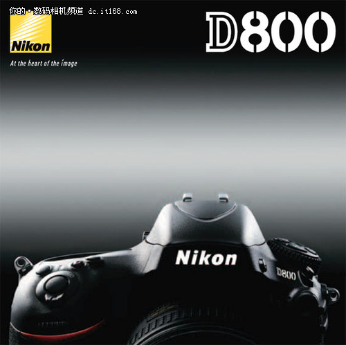 3600w像素引革新尼康D800今日正式发布
