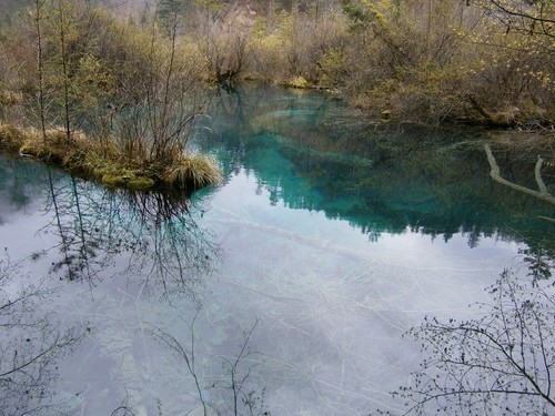 时尚又可爱的卡片DC 奥林巴斯D710评测