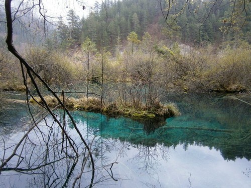 时尚又可爱的卡片DC 奥林巴斯D710评测