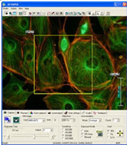 奥林巴斯DP21 DP26 DP73全系列报价_数码