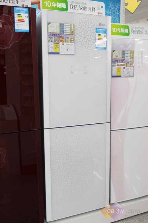2011新品来袭 LG新花纹两门冰箱上市