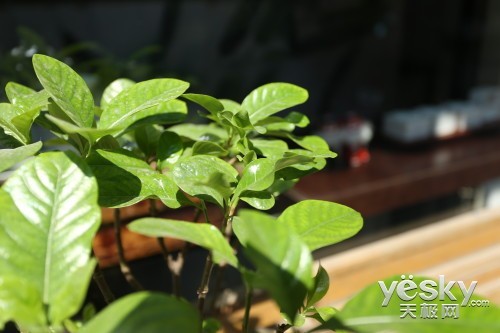 ��ǿ�ں˼���1DX�������ؼ�����ʵ������(2)