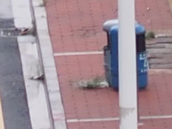 M4/3С�����񾵰��ְ�˹45mm/F1.8����