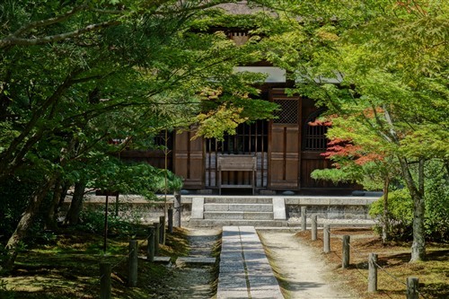 最便携的专业备机索尼黑卡RX100解析(2)