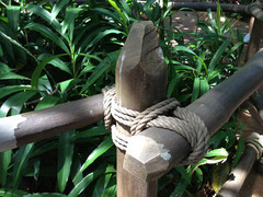 iPhone 5�������� 