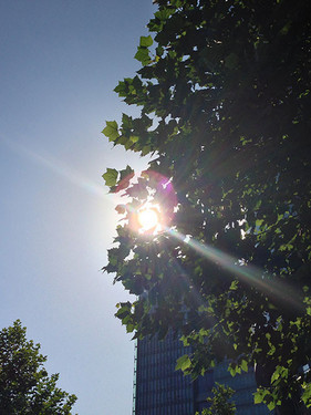 �ٶȸ�����ʾ������ iPhone 5�������� 