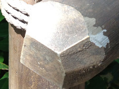 iPhone 5�������� 