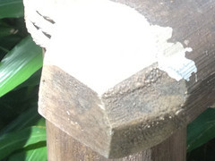 iPhone 5�������� 