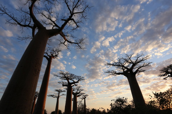 画质打平5D3 佳能6D全尺寸官方样张赏析_数码