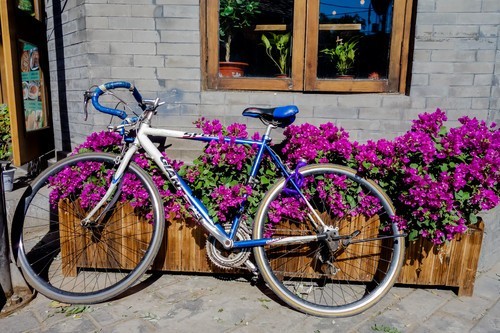 给专业影人的一封情书 专业备机索尼黑卡试用后专访