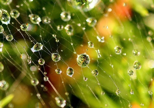 雨水让照片更有感觉 雨天摄影全攻略